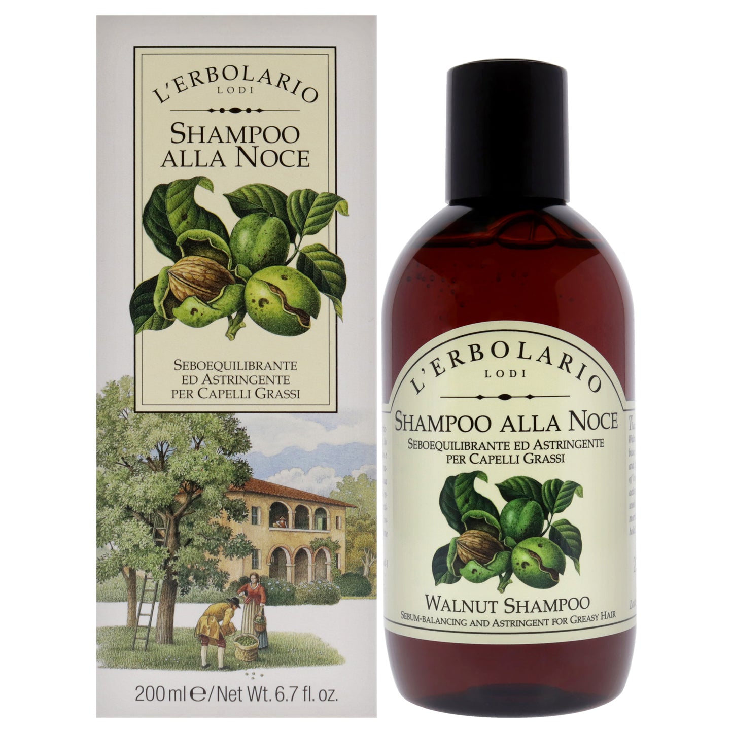 Shampoo - Walnut
