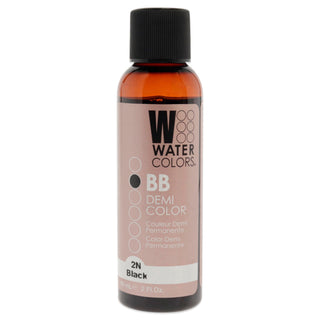 Watercolors BB Demi-Permanent Hair Color - 2N Black