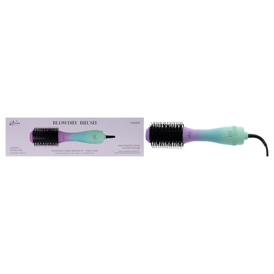 Blowdry Brush - Ombre