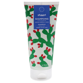 Shampoo - Normal To Oily Hair